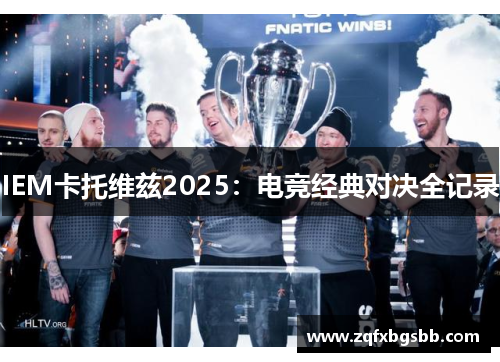 IEM卡托维兹2025：电竞经典对决全记录